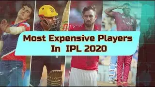 IPL 2020, Top 10 buys at IPL 2020 Auction, Most Expensive Players in IPL Auction, Pat Cummins, IPL13