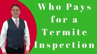 Кто платит за проверку на наличие термитов при покупке дома?