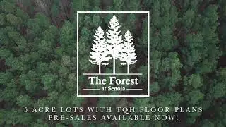 The Forest of Senoia  by Trademark Quality Homes