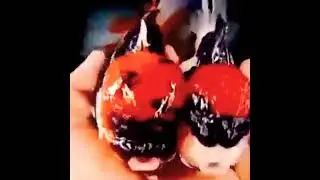Goldfish Oranda big head |#shorts #short #viral #trending #video