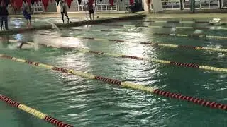 Hurricane Swim Club