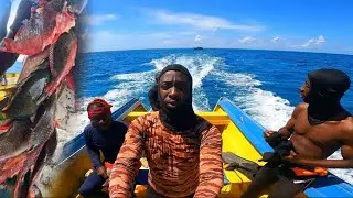 Traveling from Portland to Westmoreland🚕 | Spearfishing 186 Miles from Jamaica 🇯🇲 #fishingtrip