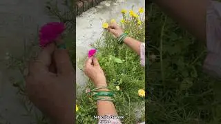 Jugaadu hack🌸 #like #comment #share #subscribe #youtube #youtubeindia #viralvideo #trending #trend