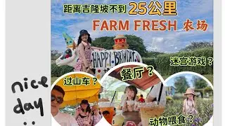 城市孩子的多巴胺——Farm Fresh农场