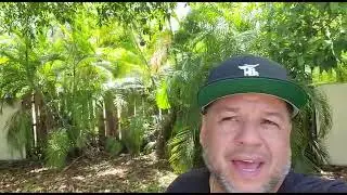 RN Palmer Roofing - Roofing Testimony