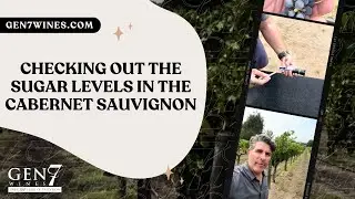 Checking out the sugar levels in the Cabernet Sauvignon