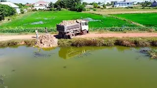 Delete the pond using bulldozer pushing dirt and dump trucks transport dirt 