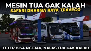 MESIN BOLEH TUA TAPI NAFAS TETEP KUAT NGEJAR UNIT MUDA!! SAFARI DHARMA RAYA TRAVEGO