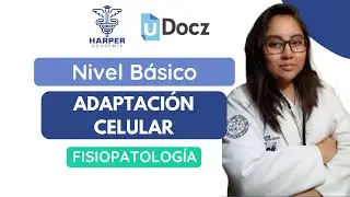 Adaptaci&oacute;n Celular con Harper Academia & uDocz 📚| Nivel B&aacute;sico