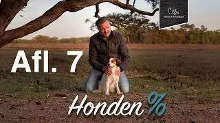 Afl. 7 | Mijn hond heeft angst agressie