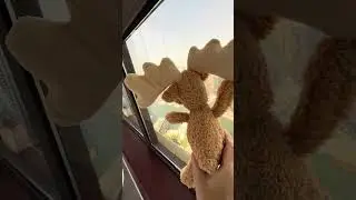 luxury trip to Dubai. #shorts #model #trips #realestate #инвестиции #trending #reels #cutecats