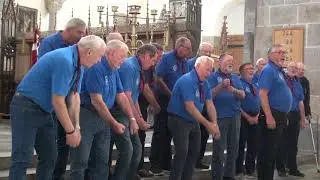 2019 - Stork Ejlænder i Ribe Domkirke 22 juni 2019