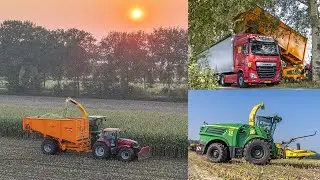 Mais hakselen en overladen | De Samenwerking BV | Vink BV | John Deere 8400i | Veenhuis Shuttle's