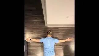 Prone Scapular Retraction with Arm Lift
