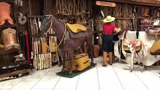 Como encilhar um cavalo