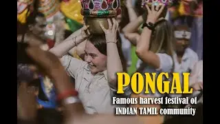 PONGAL -The famous harvesting festival | Tamilnadu | India.  | travelcart india