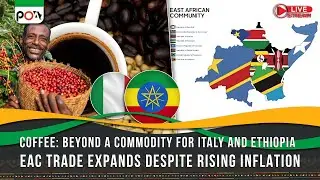 From Dakar to Addis Ababa, Rabat to Cape Town — real-time news and perspectives from across Africa