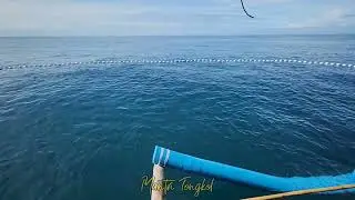 fish glowing in the net