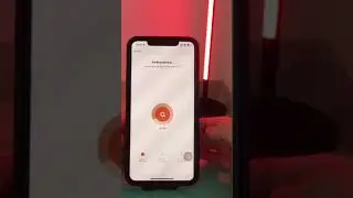 Tuya VagaryLight smart floor lamp with work alex google  RGBW music sysnc ambience light living room
