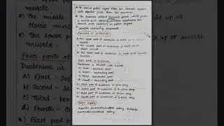 Anatomy of Small Intestine|| Handwritten Notes||Anatomy #nursing #anatomy #bsc #notes
