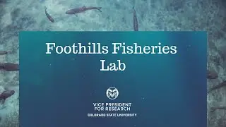 CSU Foothills Fisheries Laboratory
