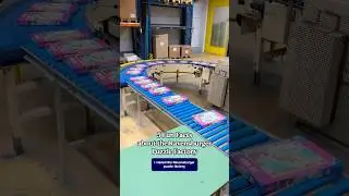 5 Puzzling Facts from the Ravensburger Puzzle Factory