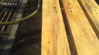 Propolis/Cerumen extracts attracting stingless bee.