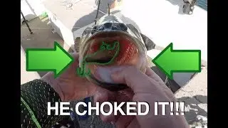 Bass INHALES Jerkbait!! | Super Cold Water Bass Fishing