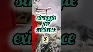 struggle for existence। 2।😳#sorts @adven @Our_awesome_world @adventureheights @natasharastogi5381
