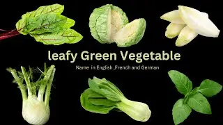 Leafy Green Vegetable Names in English, French, and German | English Vocabulary
