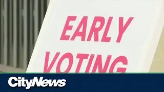 Final stretch before U.S. midterm elections