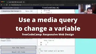 Use a media query to change a variable (Basic CSS) freeCodeCamp tutorial