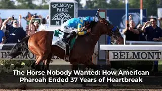 The Horse Nobody Wanted: How American Pharoah Ended 37 Years of Heartbreak