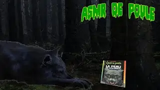 ASMR Chair de poule: La peau du loup-garou (partie 2)