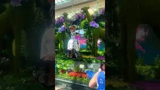 Bellagio Conservatory #lasvegas #fyp #views #bellagioconservatory