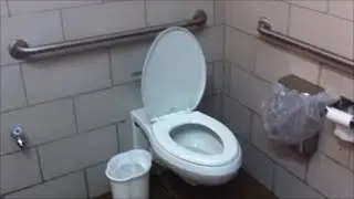 [1287] Assorted Gerber wallhung toilets at state parks