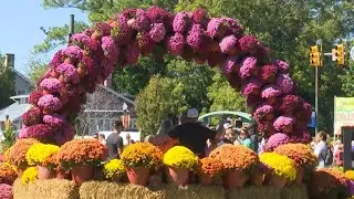 Annual MumFest returns highlighting New Bern history