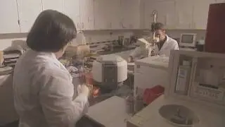 Breast Cancer Treatment (05): Determining the Stage of Your Disease