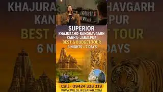 Super Khajuraho&ndash;Bandhavgarh&ndash;Kanha&ndash;Jabalpur Tour Package  |#KanhaNationalPark #bandhavgarh #MPTourism
