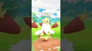 Mega Alakazam V/S Mega Blaziken PVP Battle in #pokemongo