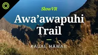 Awa'awapuhi Trail (with Helicopters) - Kauai, Hawaii, USA [Slow VR 5K 360&deg; Video & Sound]