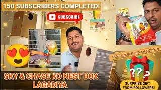 Sky & chase ko nestbox lagadiya | Conure periots | exotic birds farming | Conure birds | Handfeeding