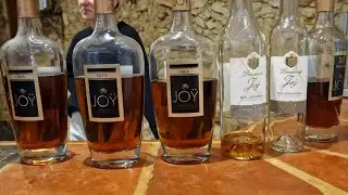 Visiting Armagnac and wine producer Domaine de Jo&yuml; in Panjas, France