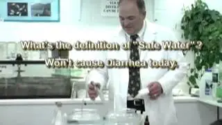 Distilled Water vs  Filtered Water vs Bottled -  
