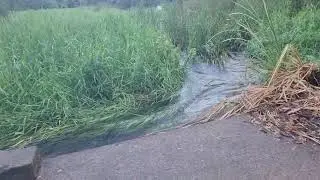 Rockhampton - Kershaw Gardens - Moores Creek