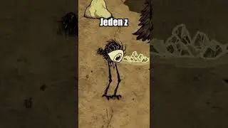 DEDUWA OD TALLBIRDA W DST