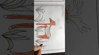 SSIS Sr k.g -  Art & craft do page no - 9 c.w & page no - 10 h.w )