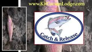 Kit Carson Lodge fishing Silver Lake, California near Kirkwood - Rainbow Trout
