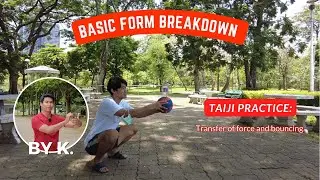 Taiji basic form breakdown