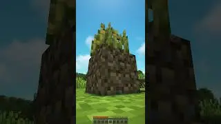 I Became a Grass Block for a Day #shorts